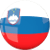 перевод с словенского на русский перевод с словенского на русский